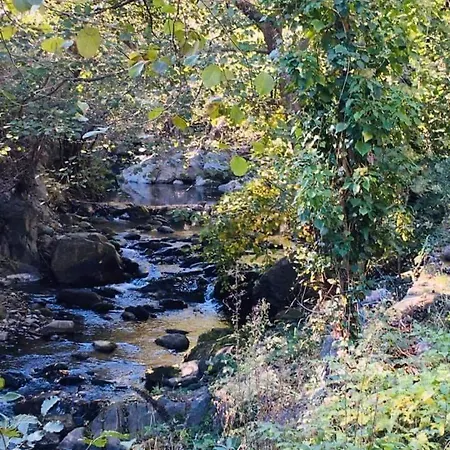 Pleine Nature * Boule-d'Amont