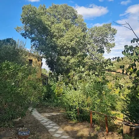 Pleine Nature
